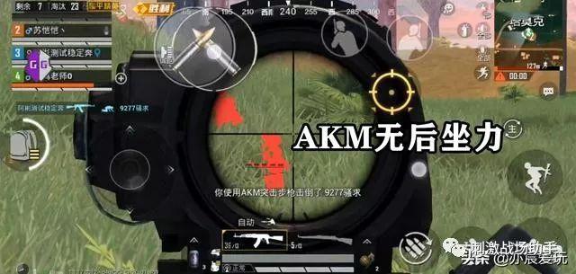 和平精英辅助【神眸】